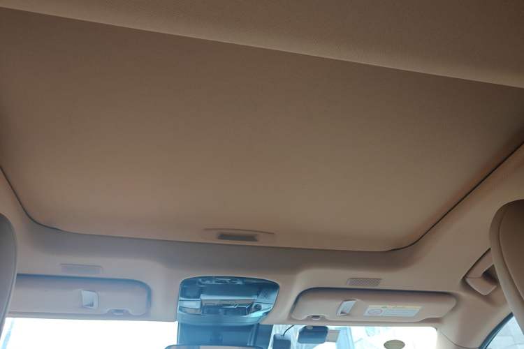 Used Lexus NX New Energy 2022 400h+ Comfort Edition Headliner