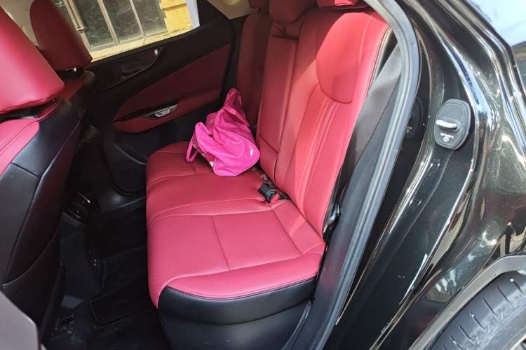 Used Lexus NX New Energy 2022 400h+ Comfort Edition Left Rear Seat