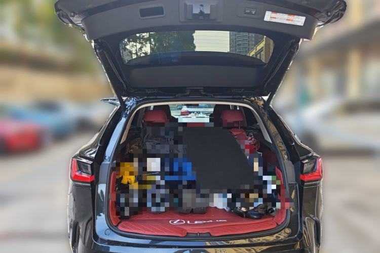 Used Lexus NX New Energy 2022 400h+ Comfort Edition Trunk