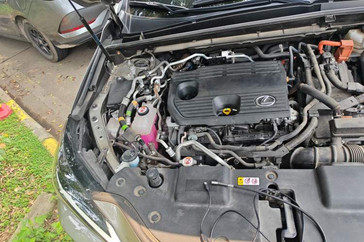 Used Lexus NX New Energy 2022 400h+ Comfort Edition Engine Bay Right