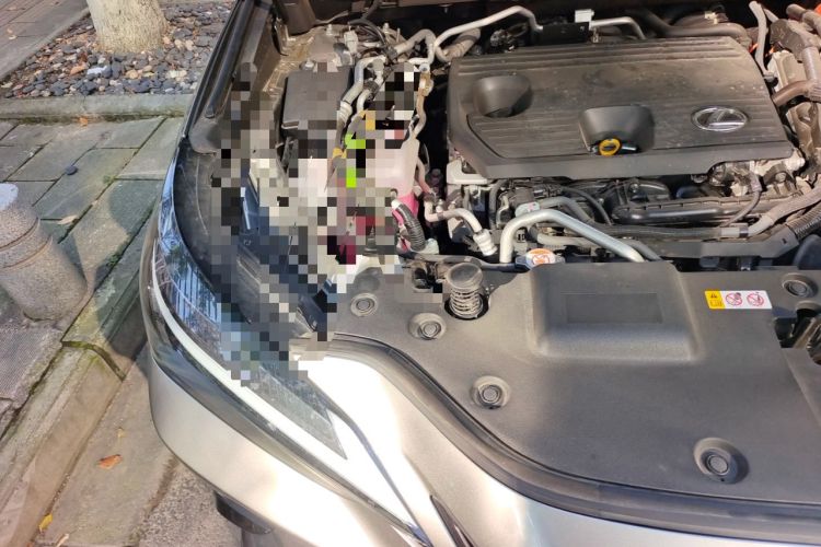 Used Lexus NX New Energy 2022 400h+ Comfort Edition Engine Bay Right