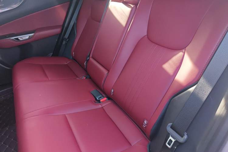 Used Lexus NX New Energy 2022 400h+ Comfort Edition Left Rear Seat