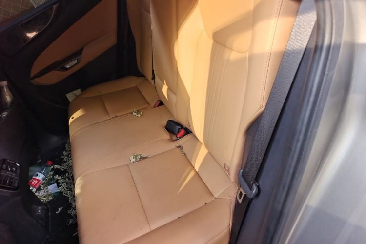 Used Lexus NX New Energy 2022 400h+ Comfort Edition Left Rear Seat