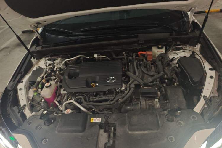 Used Lexus NX New Energy 2022 400h+ Comfort Edition Engine Bay