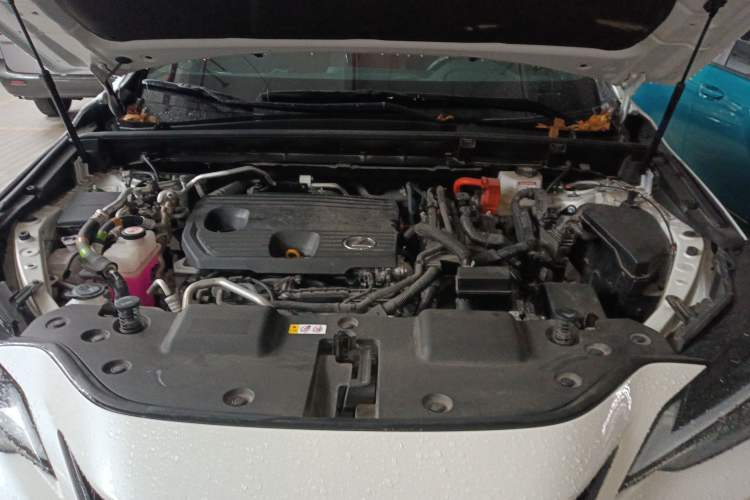 Used Lexus NX New Energy 2022 400h+ Comfort Edition Engine Bay