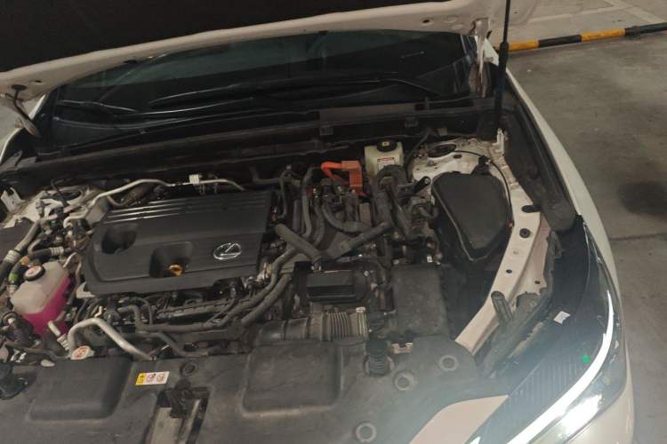 Used Lexus NX New Energy 2022 400h+ Comfort Edition Engine Bay Left