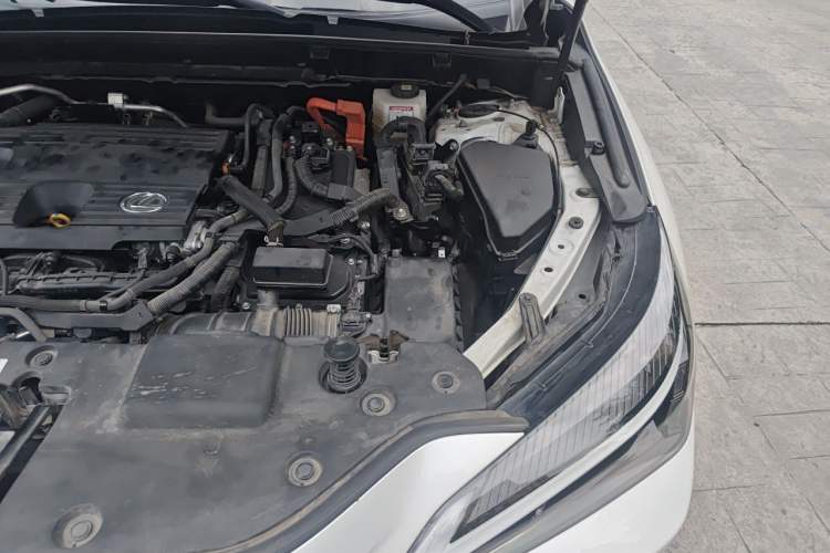 Used Lexus NX New Energy 2022 400h+ Comfort Edition Engine Bay Left