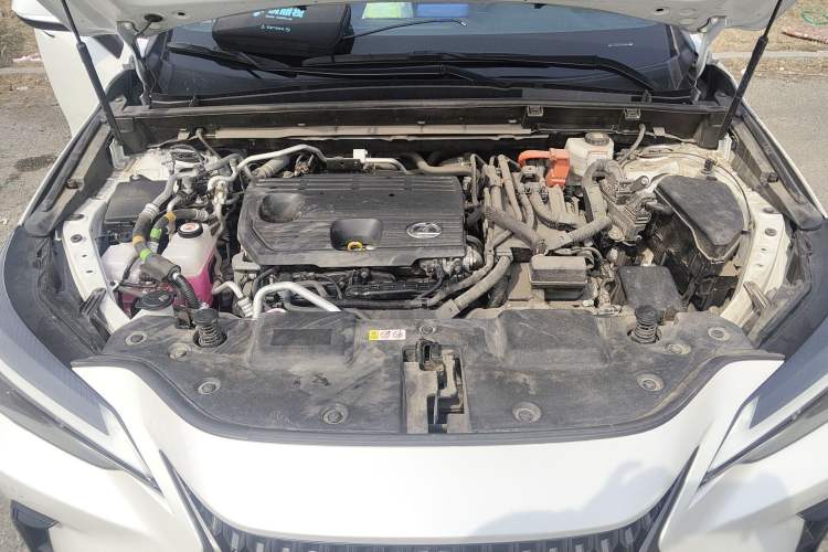 Used Lexus NX New Energy 2022 400h+ Comfort Edition Engine Bay