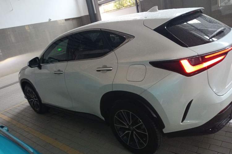 Used Lexus NX New Energy 2022 400h+ Comfort Edition Exterior 3