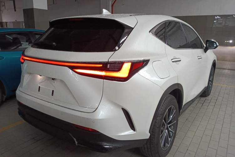 Used Lexus NX New Energy 2022 400h+ Comfort Edition Exterior 5