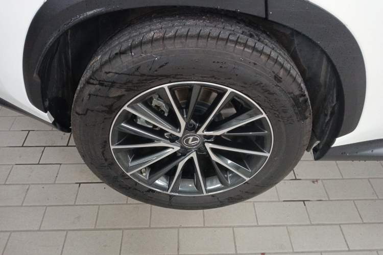 Used Lexus NX New Energy 2022 400h+ Comfort Edition Exterior 8