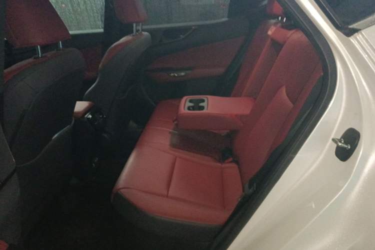 Used Lexus NX New Energy 2022 400h+ Comfort Edition Interior 4