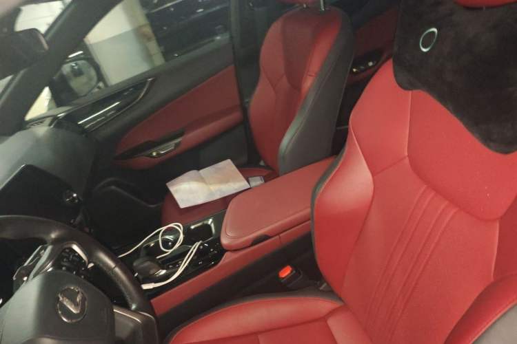 Used Lexus NX New Energy 2022 400h+ Comfort Edition Left Front Seat
