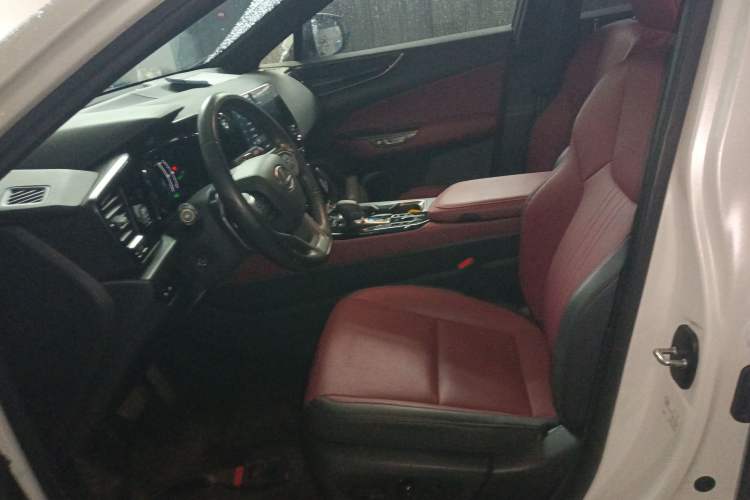 Used Lexus NX New Energy 2022 400h+ Comfort Edition Left Front Seat