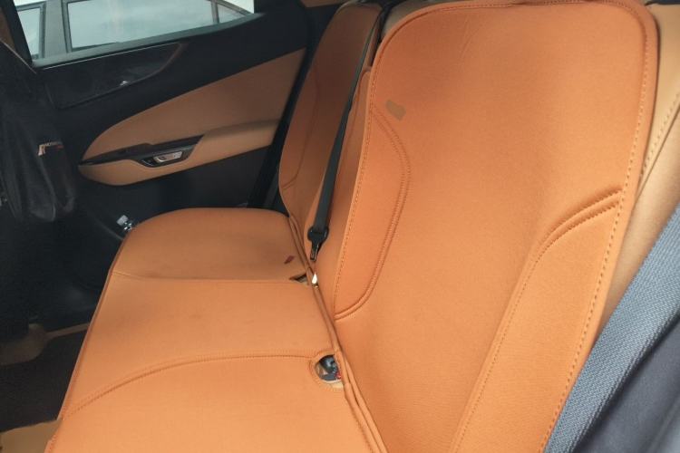 Used Lexus NX New Energy 2022 400h+ Deluxe Edition Left Rear Seat