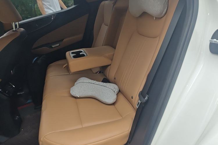 Used Lexus NX New Energy 2022 400h+ Comfort Edition Left Rear Seat