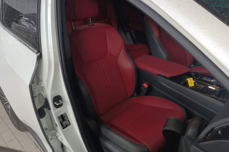 Used Lexus NX New Energy 2022 400h+ Comfort Edition Right Front Seat