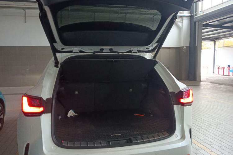 Used Lexus NX New Energy 2022 400h+ Comfort Edition Trunk