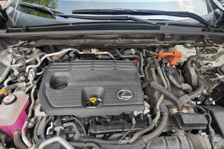 Used Lexus NX New Energy 2023 400h+ Comfort Edition Engine Bay