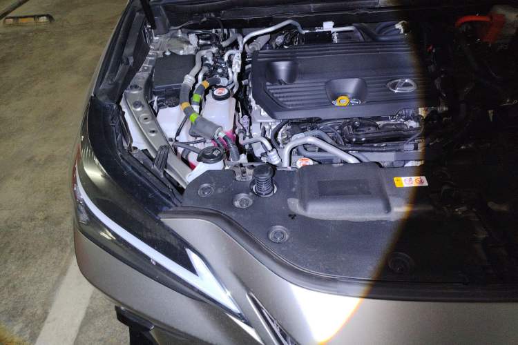 Used Lexus NX New Energy 2023 400h+ Comfort Edition Engine Bay Right
