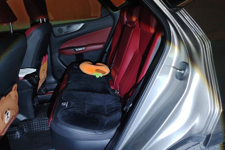 Used Lexus NX New Energy 2023 400h+ Comfort Edition Left Rear Seat