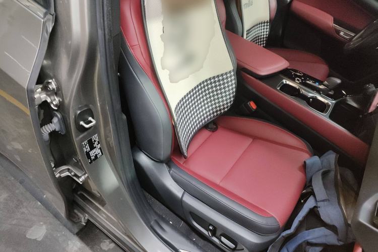 Used Lexus NX New Energy 2023 400h+ Comfort Edition Right Front Seat