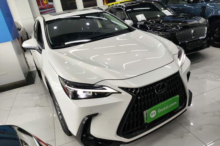 Used Lexus NX New Energy 2023 400h+ Comfort Edition Exterior 2