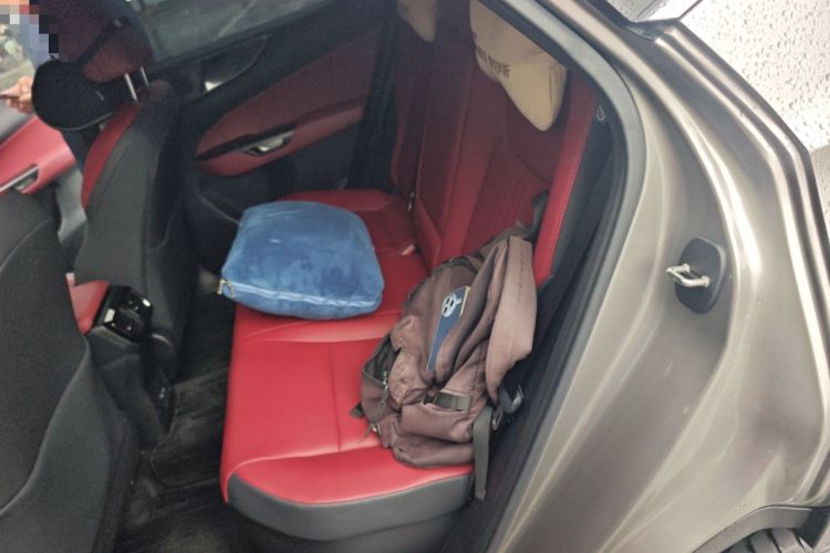 Used Lexus NX New Energy 2024 400h+ Comfort Edition Left Rear Seat