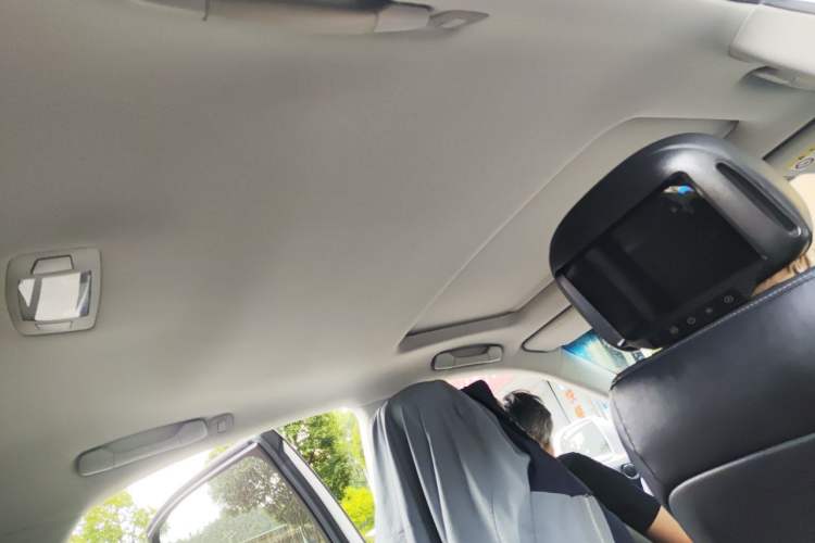 Used Lexus RX  Headliner