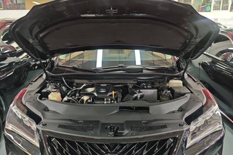 Used Lexus RX 2016 300 4x4 Elegant Edition China V-standard Engine Bay