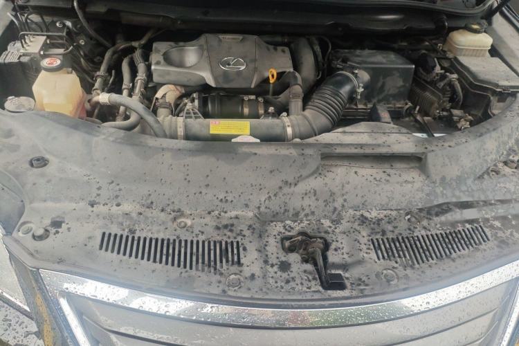Used Lexus RX 2016 300 Two-Wheel Drive Elite Edition China VI Standard Engine Bay