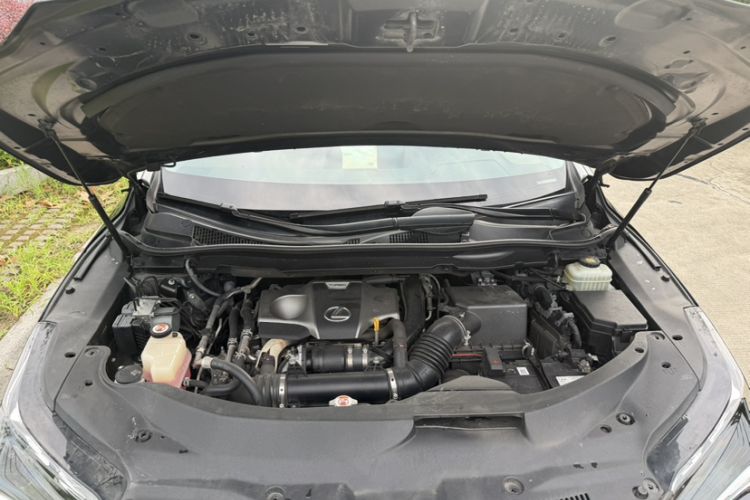 Used Lexus RX 2016 300 4x4 Elegant Edition China V-standard Engine Bay