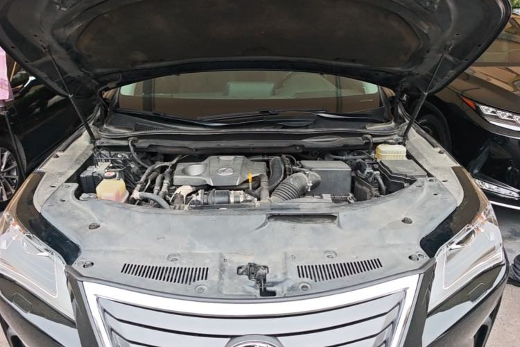 Used Lexus RX 2016 300 Two-Wheel Drive Elite Version China V Standard Engine Bay