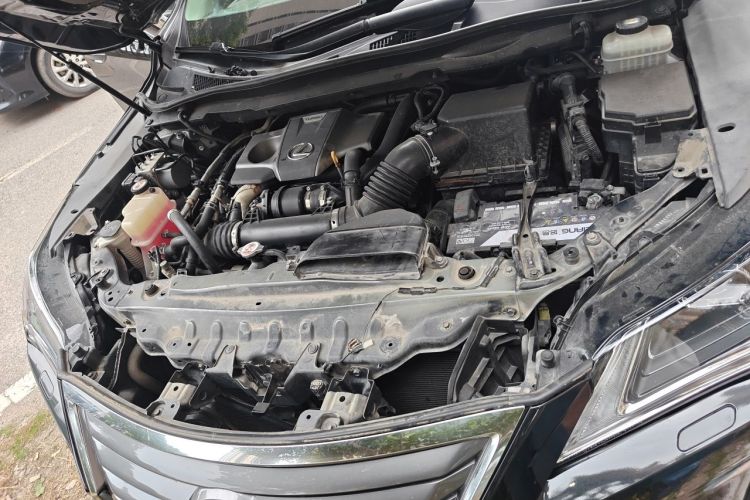 Used Lexus RX 2016 300 Two-Wheel Drive Elite Version China V Standard Engine Bay