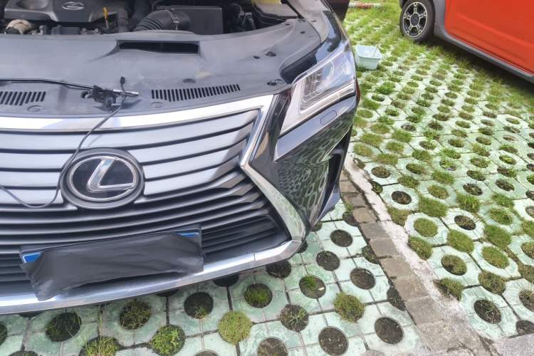 Used Lexus RX 2016 300 Two-Wheel Drive Elite Edition China VI Standard Engine Bay Left