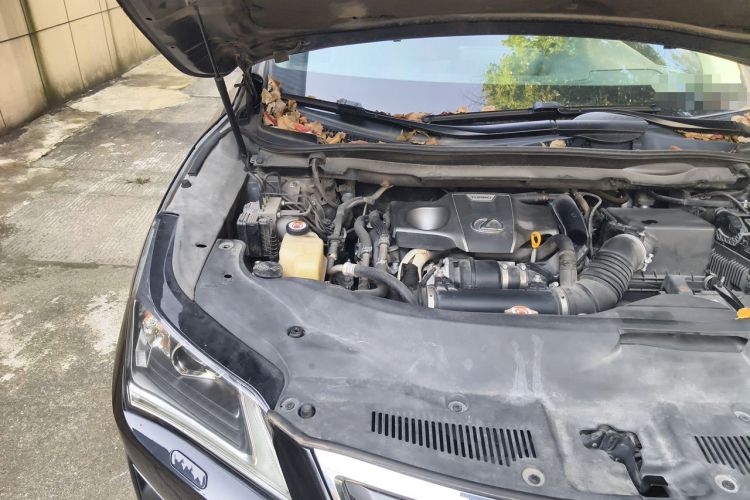 Used Lexus RX 2016 300 Two-Wheel Drive Elite Version China V Standard Engine Bay Right