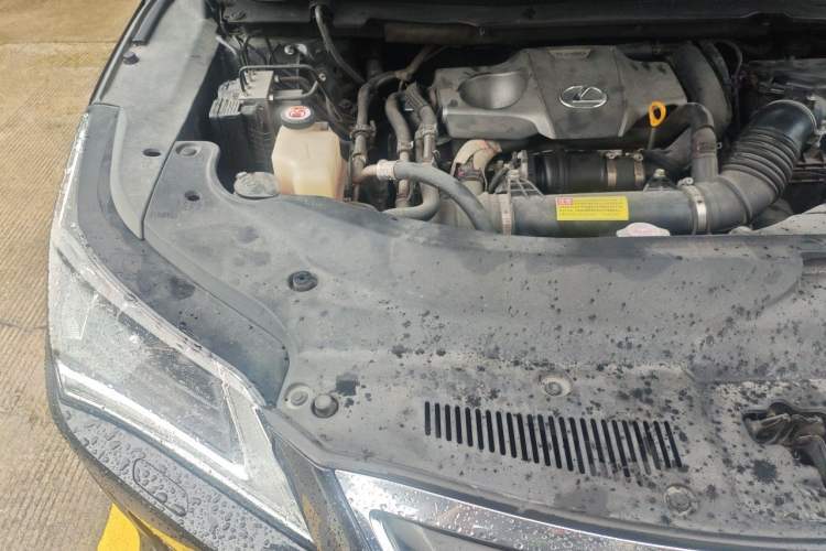 Used Lexus RX 2016 300 Two-Wheel Drive Elite Edition China VI Standard Engine Bay Right