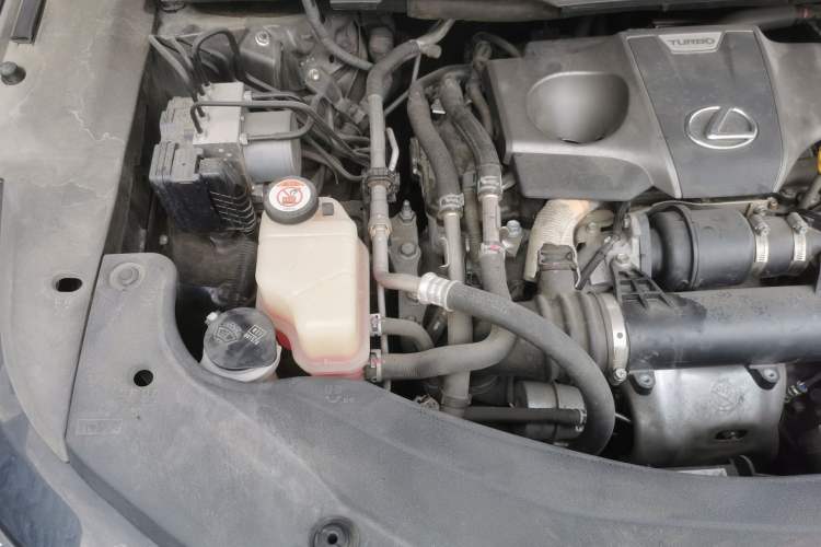 Used Lexus RX 2016 300 Two-Wheel Drive Elite Version China V Standard Engine Bay Right