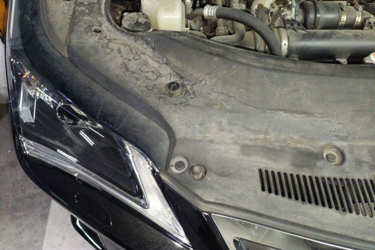 Used Lexus RX 2016 300 Two-Wheel Drive Elite Version China V Standard Engine Bay Right