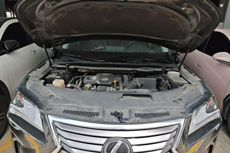 Used Lexus RX 2016 300 Two-Wheel Drive Elite Version China V Standard Engine Bay