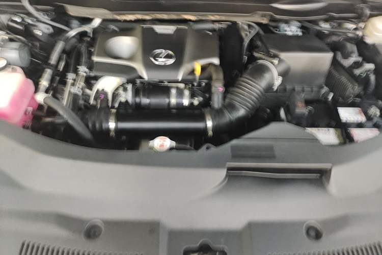 Used Lexus RX 2016 300 Two-Wheel Drive Elite Version China V Standard Engine Bay