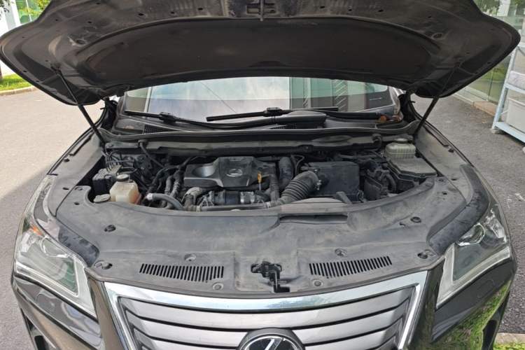 Used Lexus RX 2016 300 Two-Wheel Drive Elite Version China V Standard Engine Bay