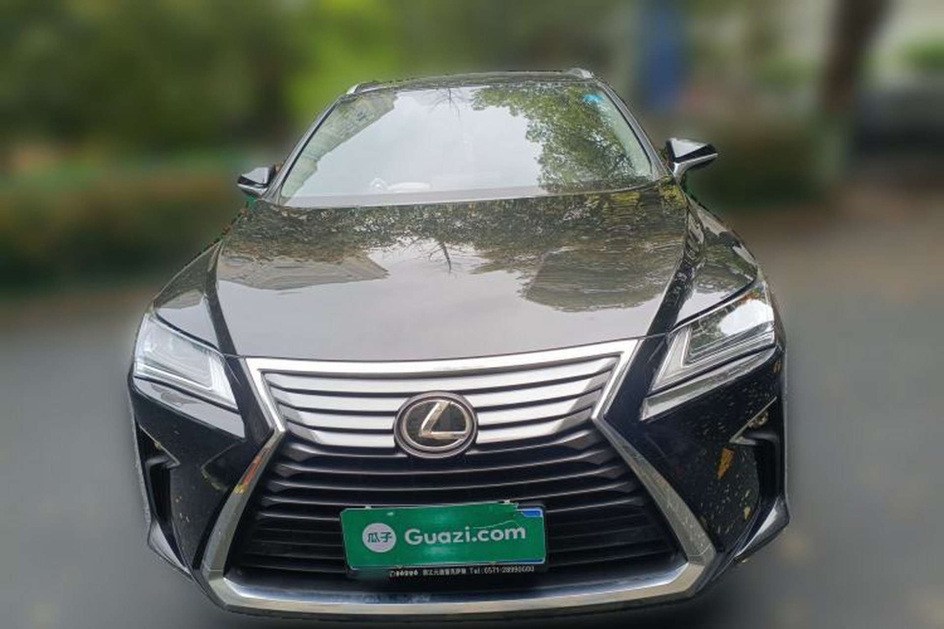 Used Lexus RX 2016 300 Two-Wheel Drive Comfort Edition China V Standard Front