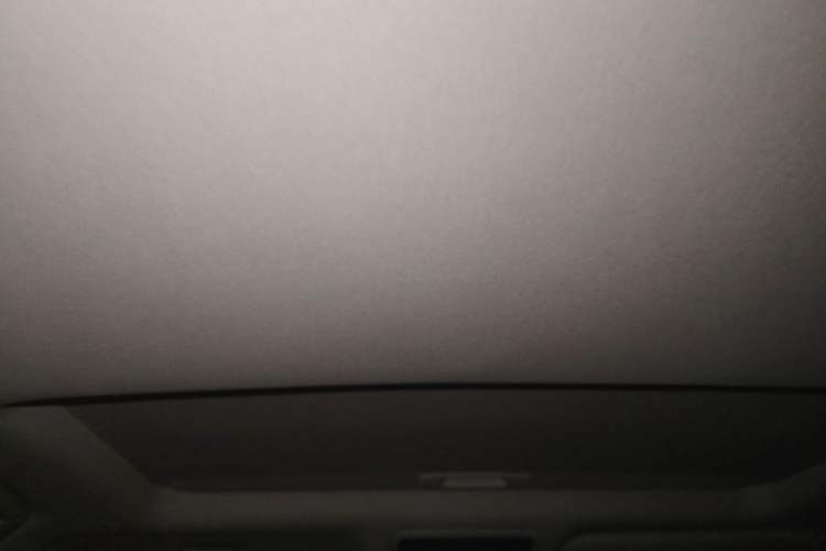 Used Lexus RX 2016 450h Four-Wheel Drive Elegant Edition Headliner