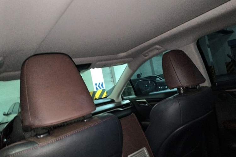 Used Lexus RX 2016 300 4x4 Elegant Edition China VI Headliner