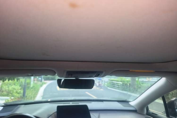Used Lexus RX 2016 300 4x4 Elegant Edition China VI Headliner