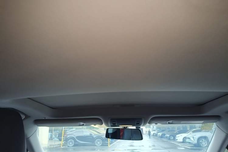 Used Lexus RX 2016 300 Two-Wheel Drive Comfort Edition China V Standard Headliner