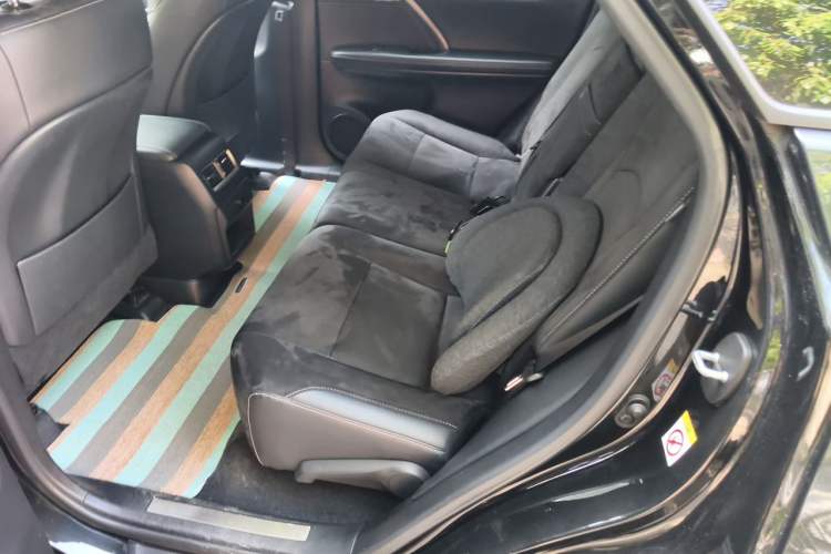 Used Lexus RX 2016 300 Two-Wheel Drive Elite Version China V Standard Left Rear Seat