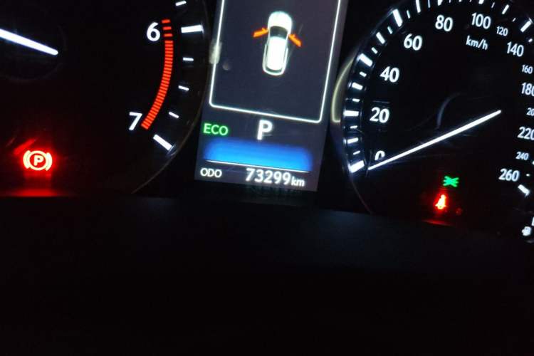 Used Lexus RX 2016 300 Two-Wheel Drive Elite Version China V Standard Odometer Close Up