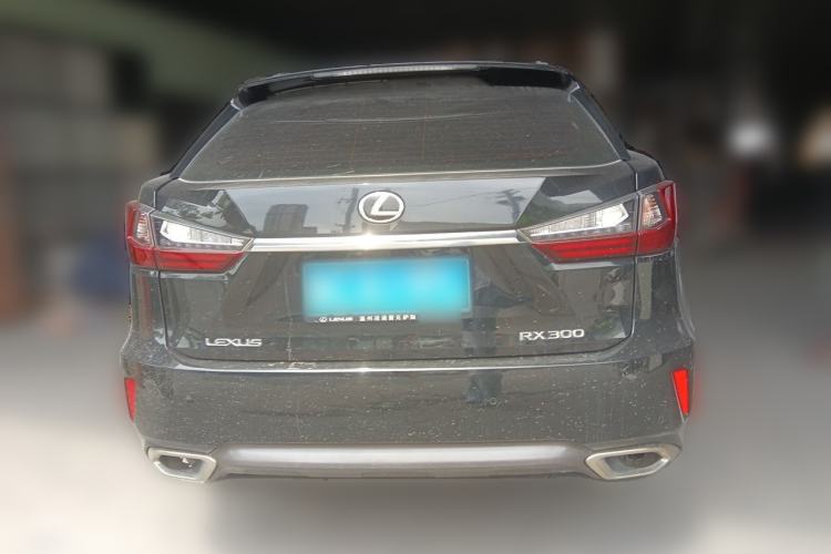 Used Lexus RX 2016 300 Two-Wheel Drive Elite Edition China VI Standard Rear